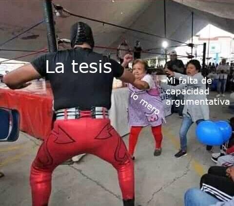 Meme Tesis